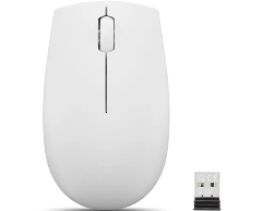Lenovo Lenovo 300 Wireless Compact Mouse (Cloud Grey) with battery